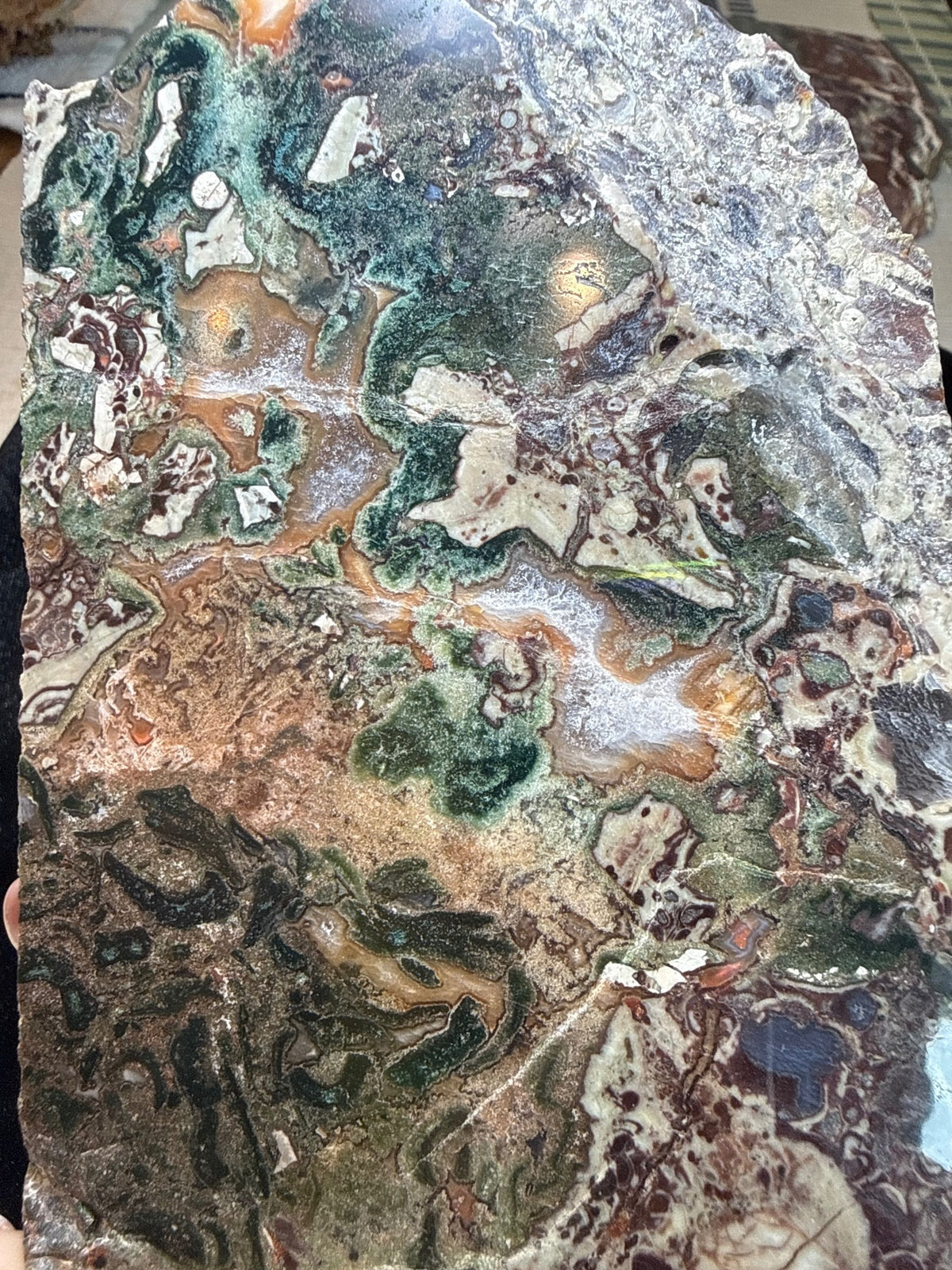 Money Agate (Indonesian Bloodstone)