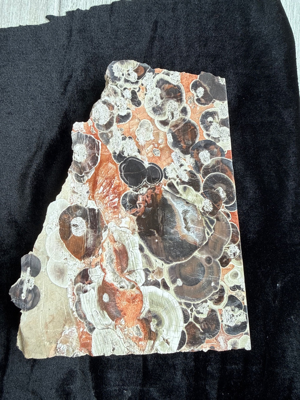 Money Agate