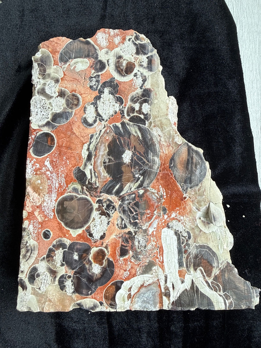 Money Agate
