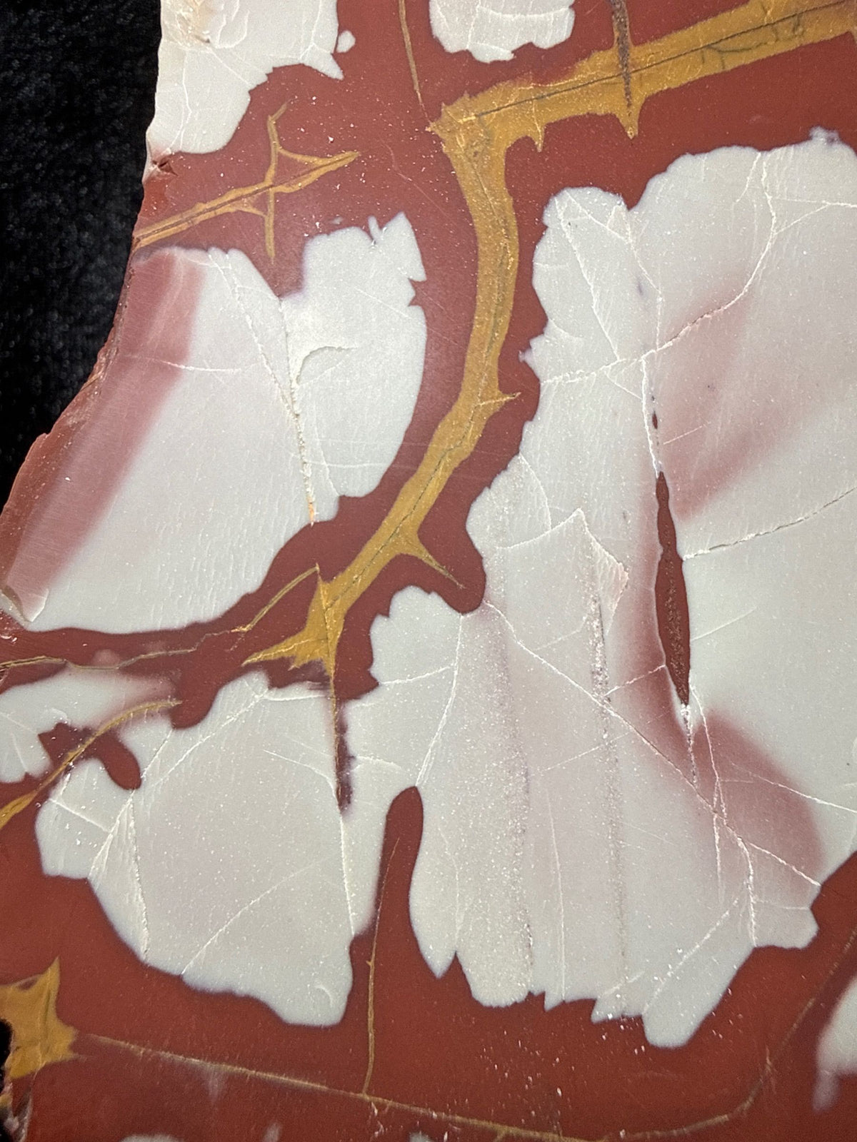 Noreena Jasper Slab