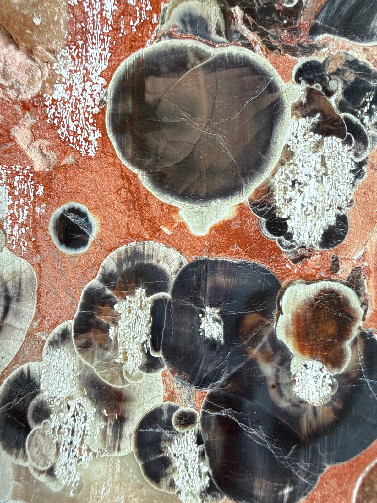Money Agate