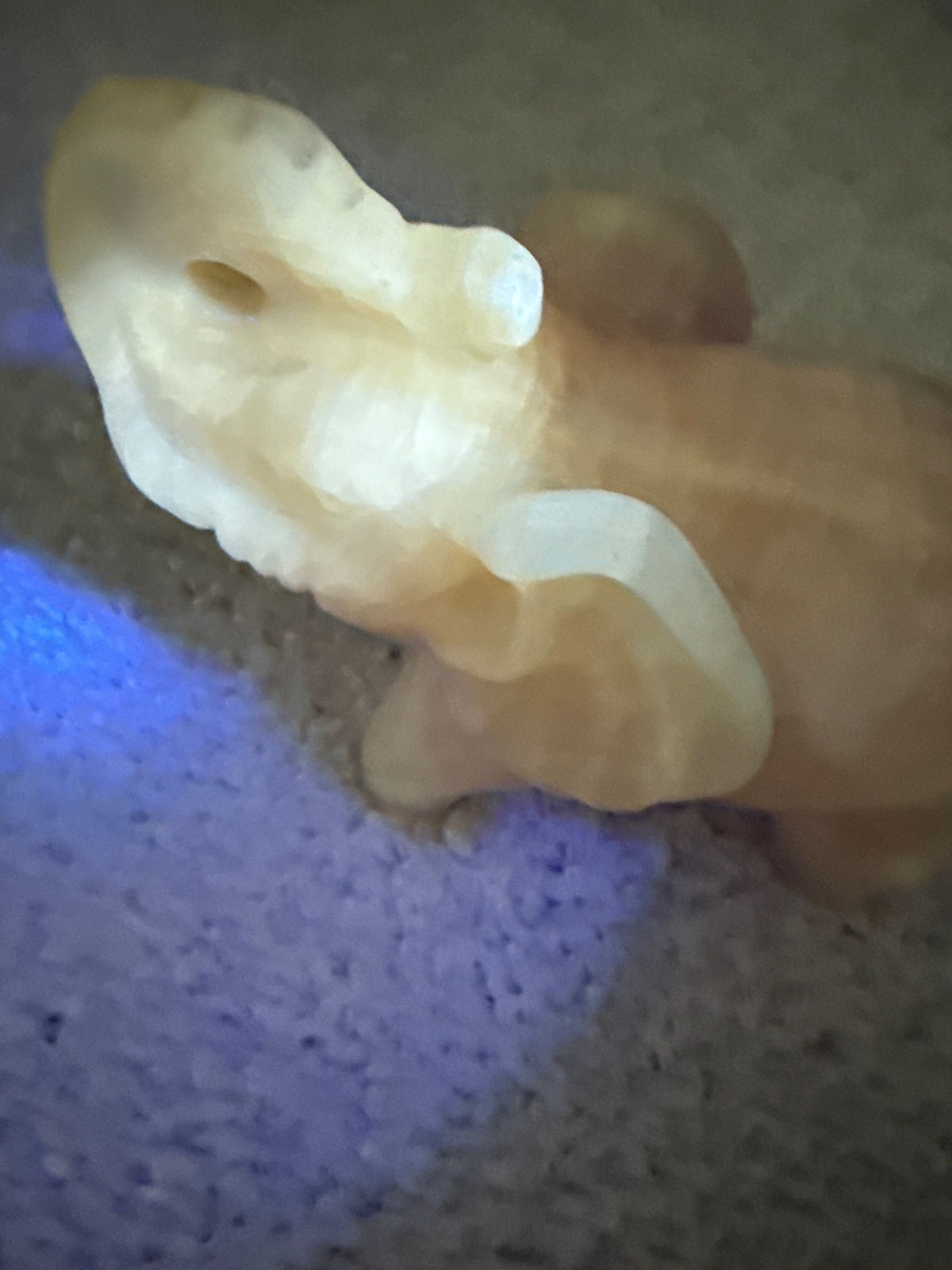 Honey Calcite Elephant Carving