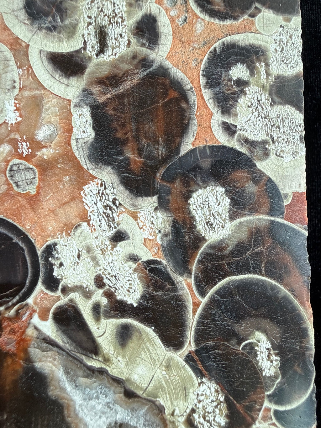 Money Agate