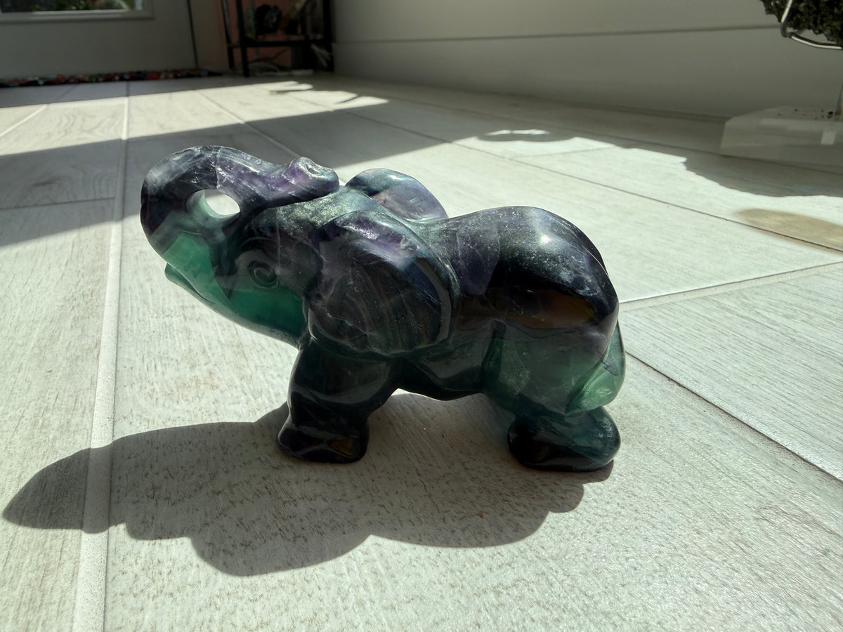 Black Fluorite Elephant with UV