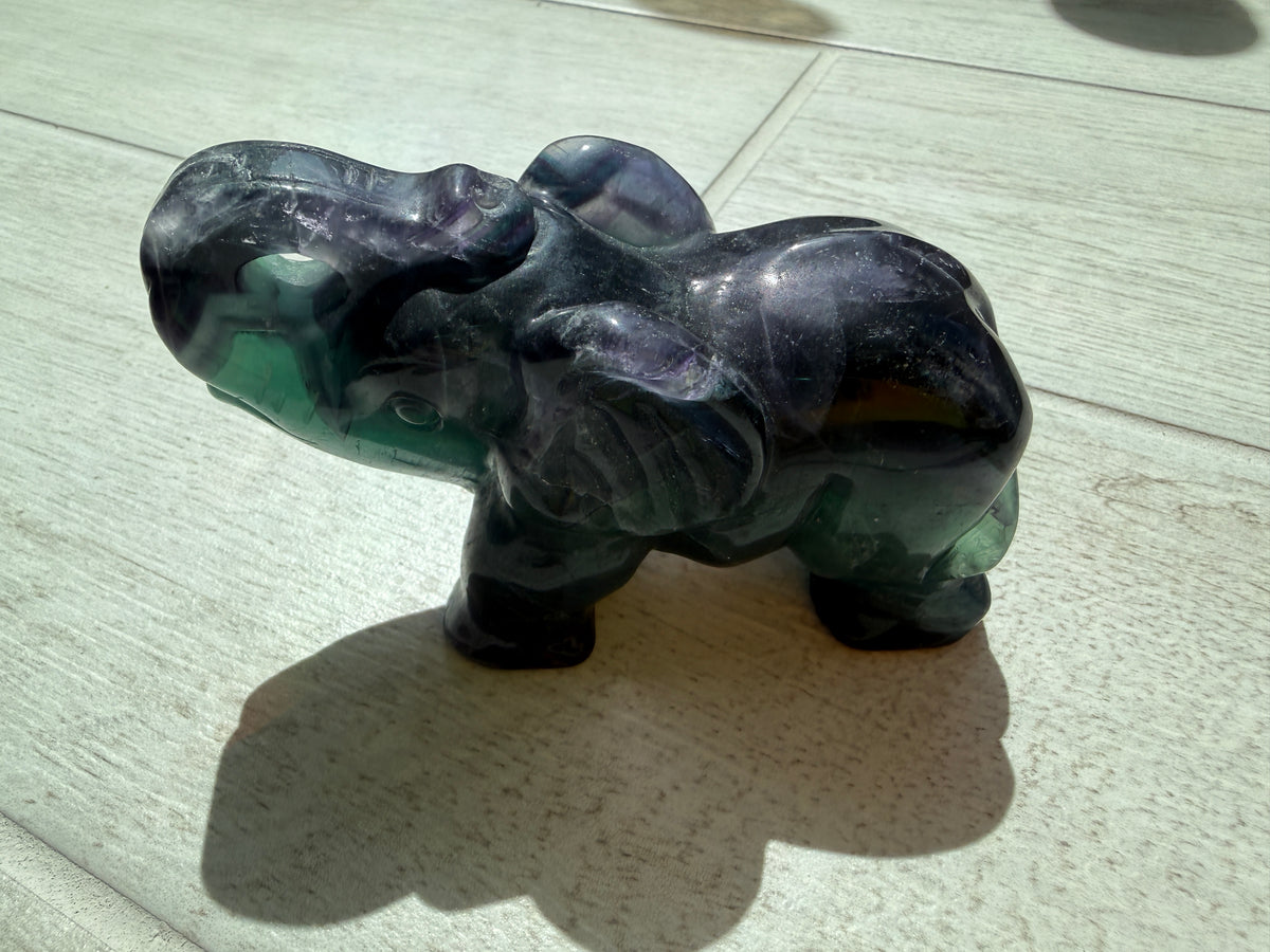 Black Fluorite Elephant with UV
