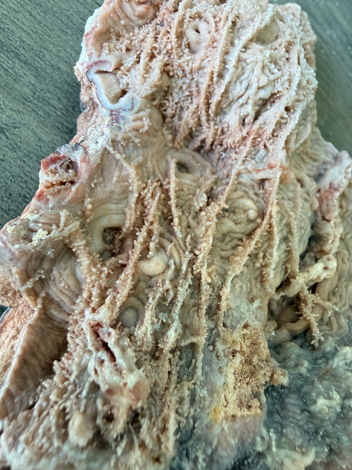 Moroccan Chalcedony