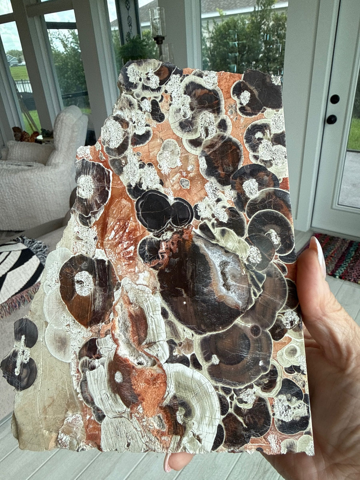 Money Agate